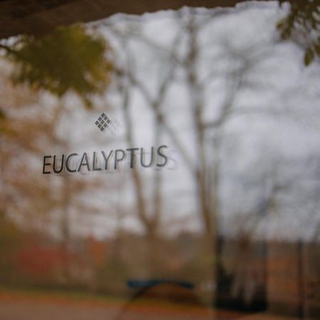 Chambres D'Hotes Eucalyptus Et Glycine Genval Kültér fotó